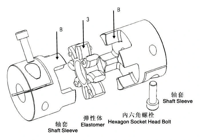 EP Two-Section Elastomer Jaw Coupling - Image 2